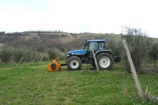 Gestione del suolo