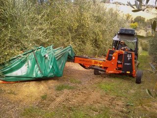 Raccolta meccanizata
