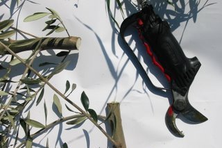 Forbici  pneumatiche